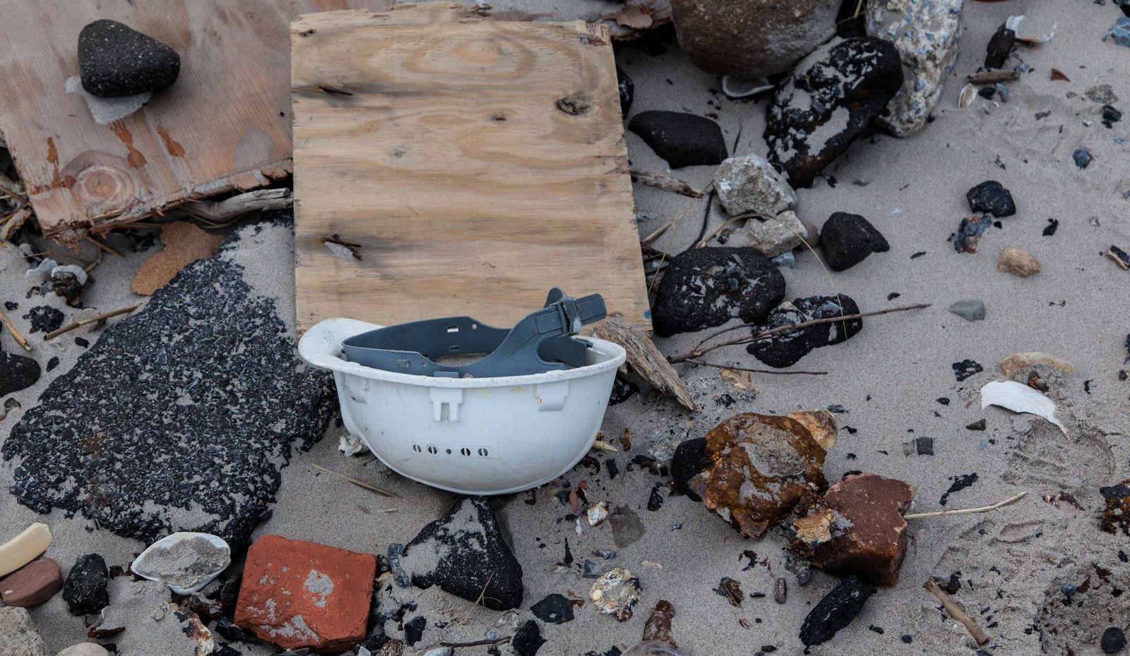 art-of-sandy-mo-seagate 2-33.jpg